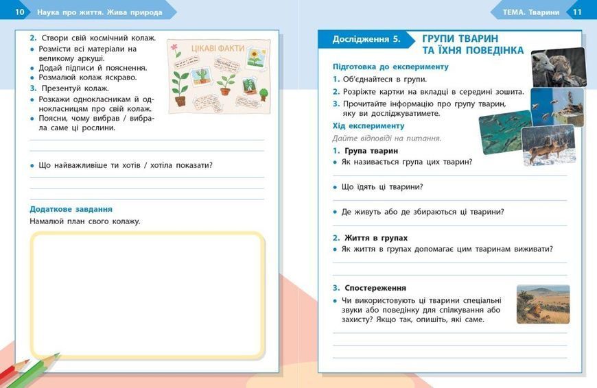 4 клас НУШ. STEM-старт. Зошит для учня. Наука про життя (Дубовик О.А., Онопрієнко О.В., Потапенко І.В.), Ранок 9786170995513 фото