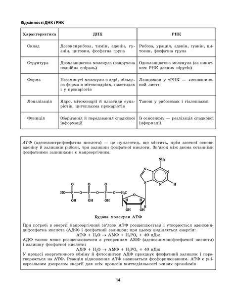 6-11 клас. Біологія в схемах та таблицях. Таблиці та схеми. (Іонцева А.Ю.), Торсинг 9789669397072 фото