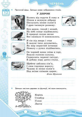 Літні вправи на кожний день. Я йду в 4 клас, (Єфімова І.В.), Ранок 9786170922786 фото