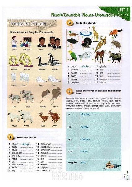English grammar book &laquo;Grammarway&raquo; 1, Jenny Dooley (Express Publishing) 9781842163658 фото