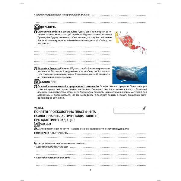 11 клас. Біологія і екологія, рівень стандарту. Робочий зошит. (Валерій Соболь), Абетка А-326 фото