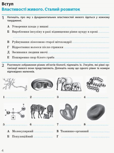 10 клас. Біологія і екологія Робочий зошит Нова програма (Задорожний К.М.), Ранок 9786170944931 фото