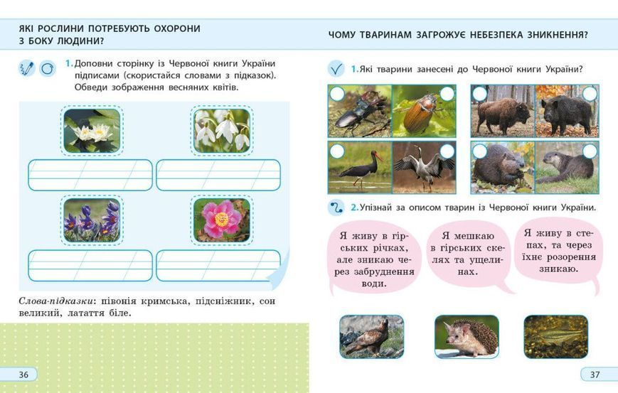 2 клас НУШ ДИДАКТА. Я досліджую світ. Робочий зошит до підручника І. Грущинської, З. Хитрої. ЧАСТИНА 2 (Пуляєва А.О.), Ранок 9786170974044 фото