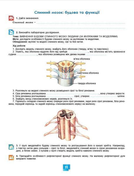 8 клас НУШ. Біологія. Робочий зошит (Кулініч О.), Генеза 9786178370824 фото