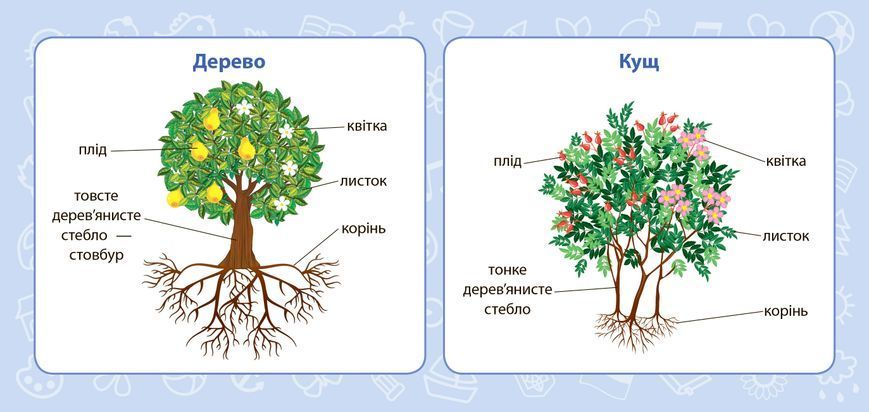 1 клас. Навчальні міні~плакати &mdash; Я досліджую світ. ( Сікора Ю. О.), Видавництво УЛА 9789662846614 фото