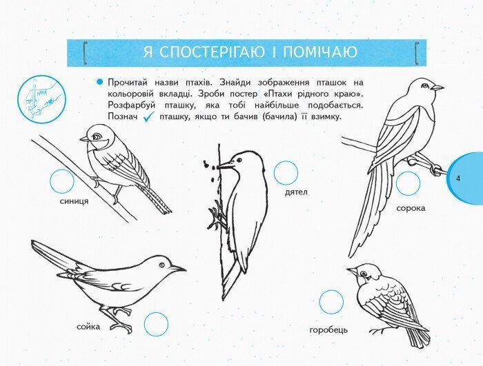1 клас. НУШ Я досліджую світ Зошит~альбом 2 частина до підручника Тагліної О.В., Іванової Г.Ж. (Тагліна О.В., Іванова Г.Ж.), Ранок 9786170949806 фото