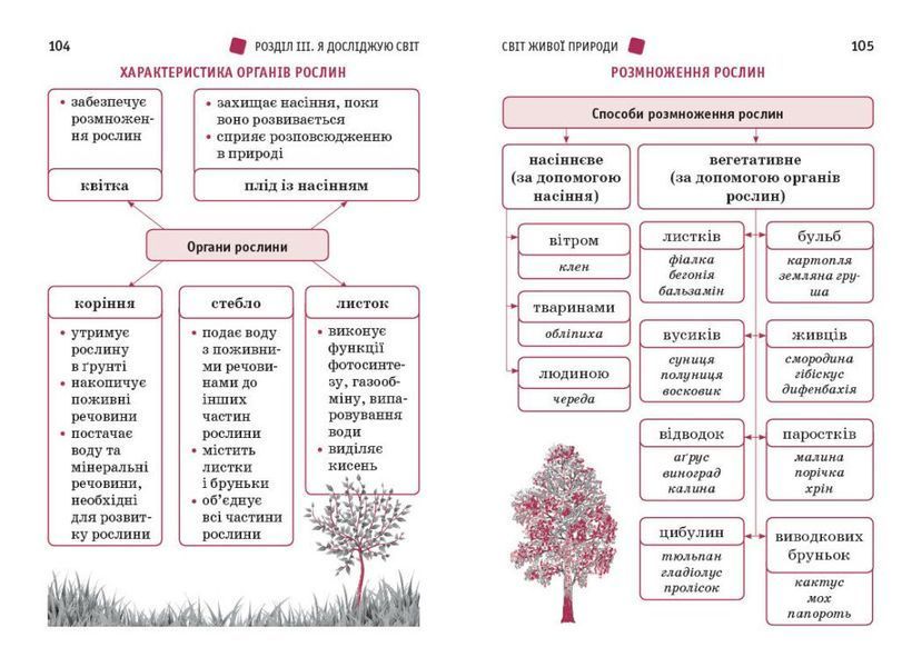 1-4 клас НУШ. Перший довідник учня (Чекіна О.Ю.), Ранок 9786178921576 фото