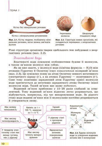 9 клас. Біологія Підручник (Задорожний К.М.), Ранок 9786170933614 фото