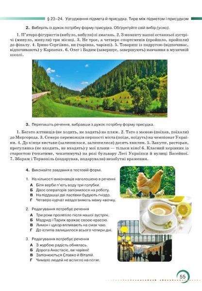 8 клас НУШ. Українська мова. Підручник (Зара Тищенко, Олександр Авраменко), Грамота 9786175590355 фото