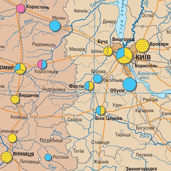 Карта деревообробна, целюлозно-паперова промисловість України 160x110 см М 1:850 000 ламінована на планках, Інститут передових технологій IPT-368 фото