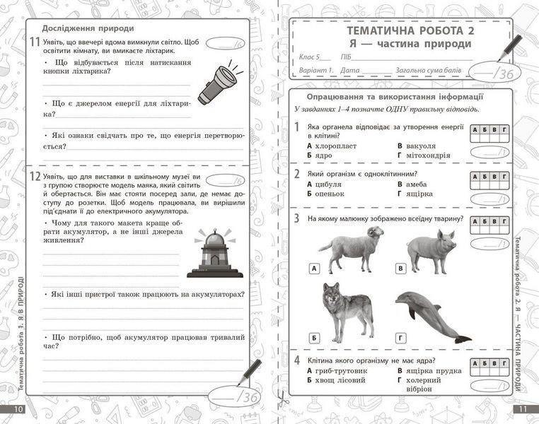 5 клас НУШ. Довкілля. Поточне та підсумкове оцінювання + діагностувальні роботи (Кот К.В.), Ранок 9786170998255 фото